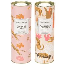Produkt Dyfuzor zapachowy do pomieszczeń o egzotycznym zapachu kokosa i mango zapewniający długotrwałą świeżość w domu, 19 cm, 2 sztuki