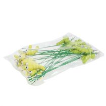 Produkt Gąsienica drewniana na patyczku zielona, żółta 8cm 24 szt