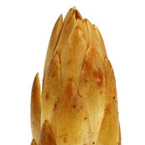 Produkt Repens krem mały 50 szt