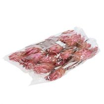 Produkt Repens Erika 25 szt