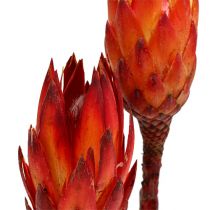 Repens czerwony 2-tonowy 25szt