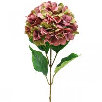 Produkt Hortensja sztuczny róż, bordowy sztuczny kwiat duży 80cm