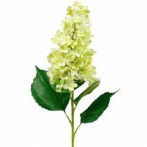 Sztuczny kłos hortensji, hortensja zielona, wysokiej jakości jedwabny kwiat 98cm