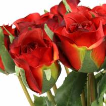 Czerwona róża 42 cm 12 sztuk