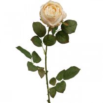 Różany kolor kremowy, kwiat jedwabiu, sztuczna róża L74cm Ø7cm