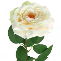 Kremowo-biała róża morelowa, kwiat jedwabiu, sztuczne róże dł.72cm Ø12cm