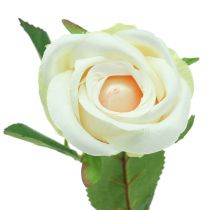 Produkt Róża sztuczna kremowa 44cm 6szt