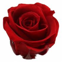 Róże konserwowane średnie Ø4-4,5cm czerwone 8szt