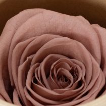 Produkt Zakonserwowane główki róż, romantyczny prezent, trwałe róże na specjalne okazje, 5 cm, 6 sztuk