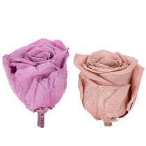 Produkt Zakonserwowane główki róż, romantyczny prezent, trwałe róże na specjalne okazje, 5 cm, 6 sztuk