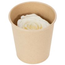 Produkt Zakonserwowane główki róż, trwała dekoracja stołu na romantyczną atmosferę, dekoracja ślubna, 5 cm, 6 sztuk