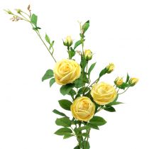 Gałąź róży żółta 100 cm
