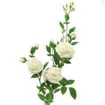 Gałązka różana Crème/Rosè 100cm