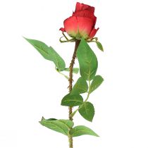 Produkt Kwiat jedwabiu z gałęzi róży Sztuczna róża czerwona 72cm