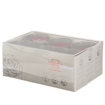 Produkt Czerwone Róże Róże Nieskończoności Prawdziwe Główki Róż Czerwone Ø6cm 6 szt