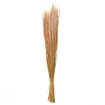 Produkt Trawa gięta czerwona Agrostis Trawa sucha czerwono-brązowa 65cm 80g