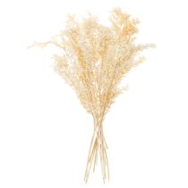 Produkt Suszona gałązka ozdobna Ruscus, Ruscus bielony, 200g