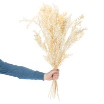 Produkt Suszona gałązka ozdobna Ruscus, Ruscus bielony, 200g