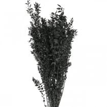 Gałązki ruscusa gałązki dekoracyjne suszone kwiaty czarne 200g