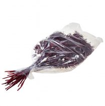 Produkt Ruscus Red Gałązki ozdobne suszone ciemnoczerwone 75-95cm 1kg