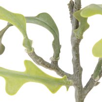 Produkt Sztuczny liść piły Kaktus Epiphyllum anguliger L68cm 3 szt