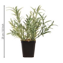 Produkt Szałwia w doniczce Salvia Lavandulifolia sztuczna wys. 25cm