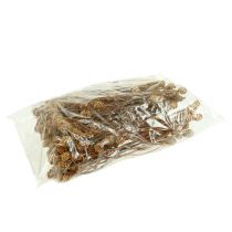 Produkt Salignum jasne 4-6 kwiatów na gałązce Leucadendron 100 sztuk