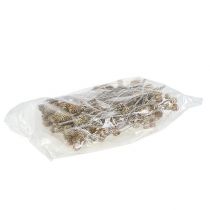 Produkt Salignum protea bielona na łodydze 25 szt