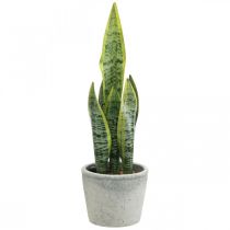 Konopie sztuczne łuk, zielona roślina w doniczce, Sansevieria W39cm Ø12cm