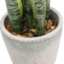 Konopie sztuczne łuk, zielona roślina w doniczce, Sansevieria W39cm Ø12cm
