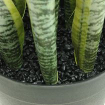 Sansevieria, sztuczny kwiat, konopie dziobowe w doniczce W50cm Ø14cm