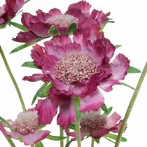 Świerzb sztuczny kwiat różowy letni kwiat H64cm pęczek 3 sztuk