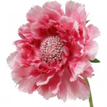 Sztuczna dekoracja kwiatowa, sztuczny kwiat świerzbu różowy 64 cm pakiet 3 sztuk