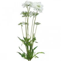 Produkt Świerzbowy sztuczny kwiat biały kwiat ogrodowy H64cm wiązka z 3 szt.