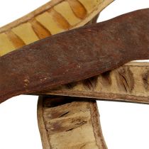 Produkt Strąk Scaletta naturalny 25cm - 50cm 25 szt