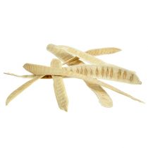 Produkt Strąki Scaletta bielone 25 szt