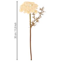 Produkt Krwawnik sztuczny krem Achillea kwiaty sztuczne 30cm 6 szt