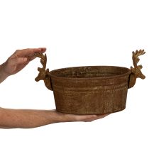 Produkt Miska dekoracyjna, głowa renifera, owalna, rdzawa, rustykalna, 41 cm
