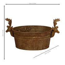 Produkt Miska dekoracyjna, głowa renifera, owalna, rdzawa, rustykalna, 41 cm
