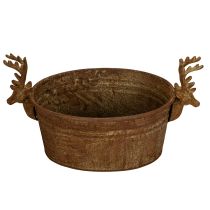 Produkt Miska dekoracyjna, głowa renifera, owalna, rdzawa, rustykalna, 41 cm