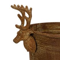 Produkt Miska dekoracyjna, głowa renifera, owalna, rdzawa, rustykalna, 41 cm