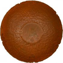 Produkt Dekoracyjna metalowa miska, dekoracyjna miska o rustykalnym wyglądzie, Ø30cm, wys. 8,5cm