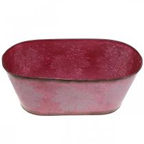 Produkt Misa z liśćmi, sadzarka, jesienna dekoracja, metalowa doniczka Wine Red L38cm H15cm