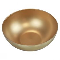 Produkt Miska dekoracyjna złota miska plastikowa matowy połysk Ø20cm W7cm