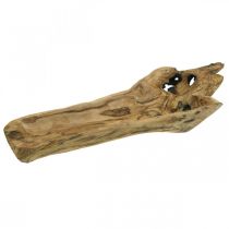 Miska dekoracyjna drewno paulownia, taca na kwiaty, naczynie drewniane dł.58cm wys.7–8cm