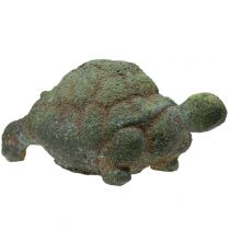 Figura ogrodowa żółw omszony 30cm x 18cm H15cm
