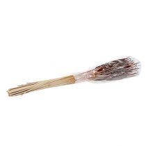 Produkt Mieszanka kolb trzciny brązowej 100 szt.