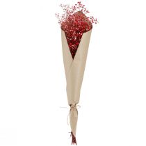 Produkt Gypsophila Gypsophila suszone kwiaty czerwone 50cm 55g
