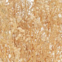 Produkt Gypsophila Bratek Gipsowy Ziele Kwiaty Białe 50cm 55g