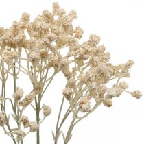 Produkt Sztuczna łyszczec kremowa Gypsophila 46cm pęczek po 3 sztuki